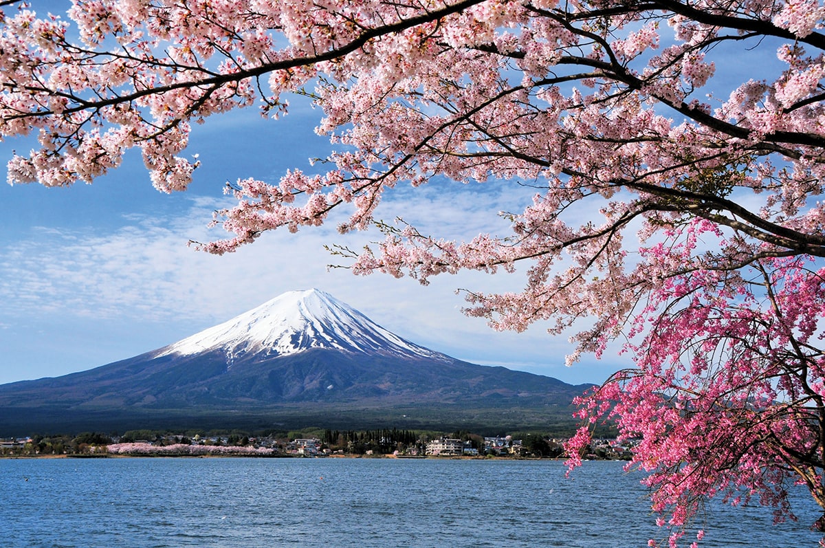 Travel to Mount Fuji