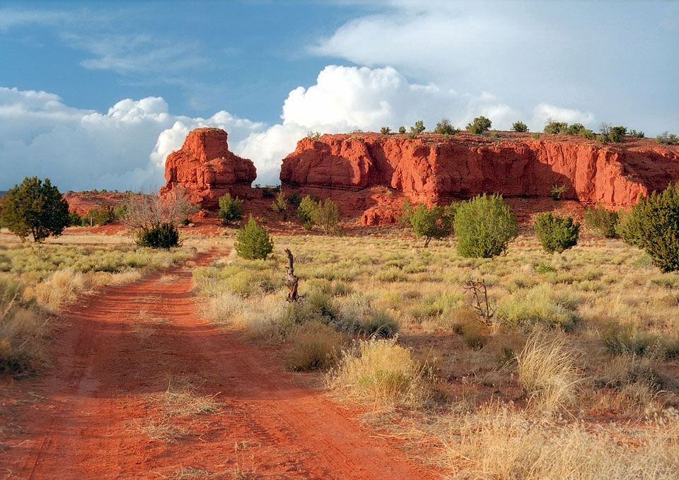 The Beauty of New Mexico